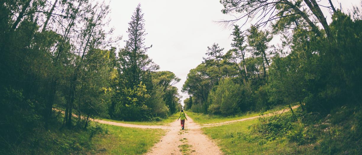 Figure standing at a path crossing in the foerst. 